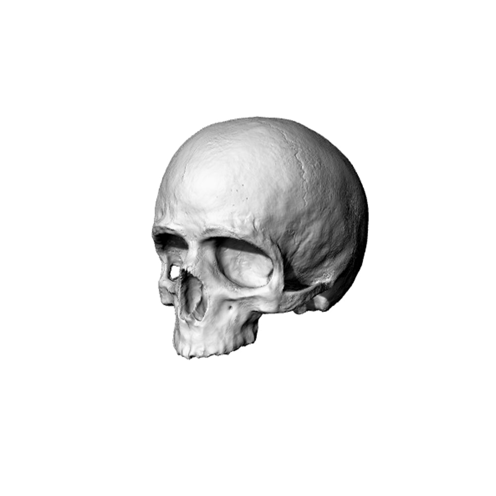 Yao's Studio LYT247 Skull HO/OO/Z/N/TT Railroad Miniature Accessory Display Props