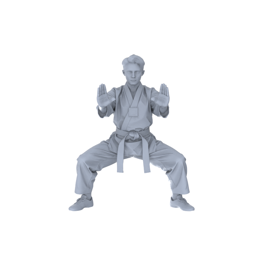 MRY-SFW LYTR150B Modern Martial Arts Male Single in Horse Stance 1pc