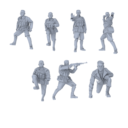 MRY-SFW LYGR519 Historical People's Liberation Army Seven-Person Battle Group