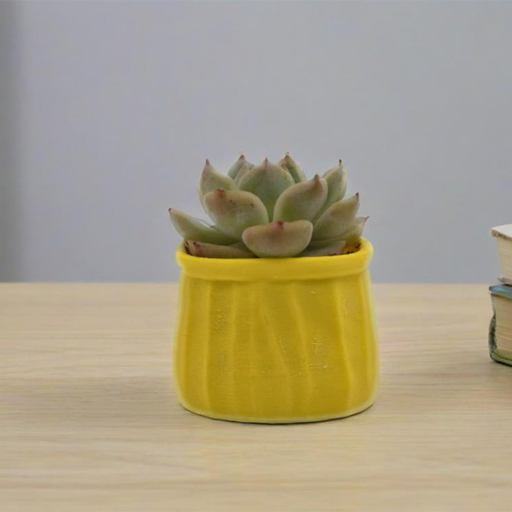 LYTP-020I 1/- Shallow Pot For Succulents 3D Printed Succulent Flower Potted Plant
