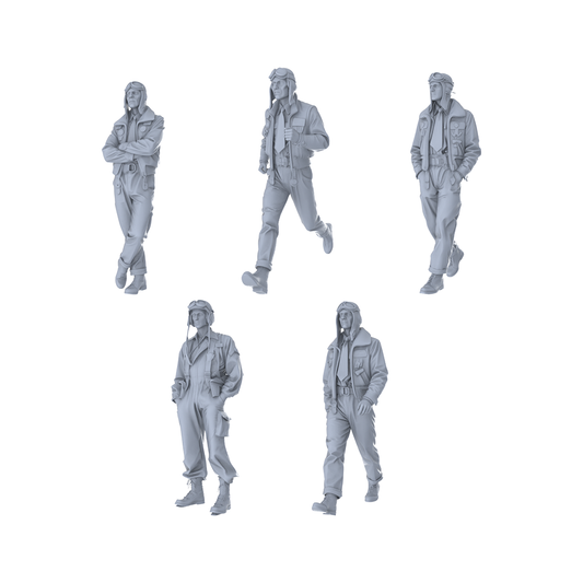 MRY-SFW LYGR198 US military World War II pilot World War II theme military model war flag resin white mold theme war chess miniature soldier scene character hand model hand painting