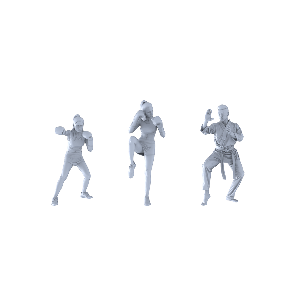 MRY-SFW LYTR463 Modern Training Hall Athletes Mixed Martial Arts Trio 3-Piece Set Featuring Dynamic Boxing, Kick Karate Poses