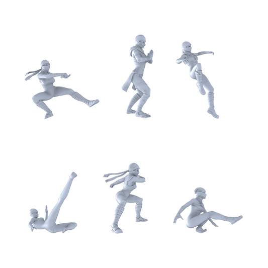 MRY-SFW LYTR475 Sengoku Japan Female Ninja Combat Group of 6 Miniature Car Diorama Figures Scene Props Accessories Resin