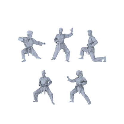 MRY-SFW LYTR560 Modern Dojo Karate Practitioners Pose Group of 5 Miniature Car Diorama Figures Scene Props Accessories Resin