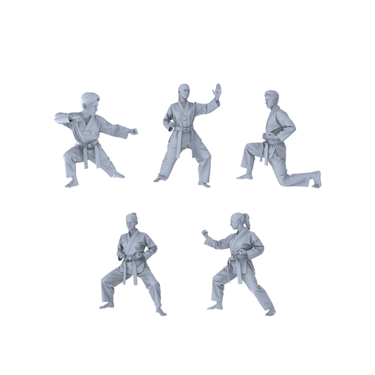 MRY-SFW LYTR560 Modern Dojo Karate Practitioners Pose Group of 5 Miniature Car Diorama Figures Scene Props Accessories Resin