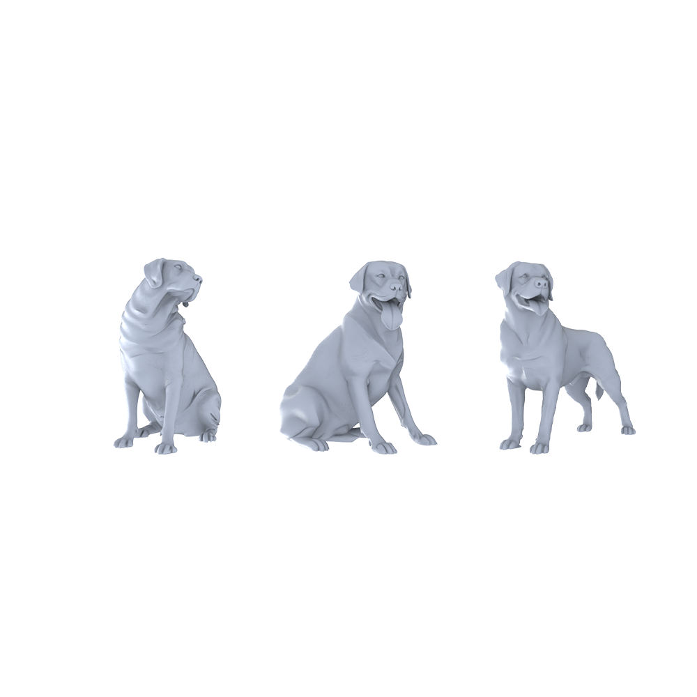 MRY-SFW LYTR535 Modern Labrador Retrievers Pose Group of 3 Miniature Car Diorama Figures Scene Props Accessories Resin