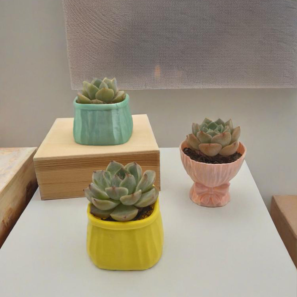LYTP-020G 1/- Shallow Pot For Succulents 3D Printed Succulent Flower Potted Plant