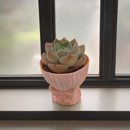 LYTP-019E 1/- Artistic Succulent Planter 3D Printing Personalized Succulent Flower Potted Plants
