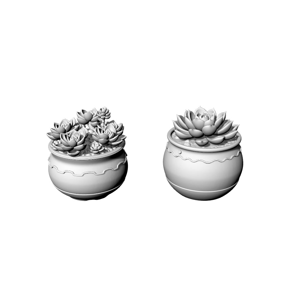 MRY-SFW LYTS614 3D Printed Unpainted White Resin, Succulent Planter 2-Piece Set, Miniature Garden Diorama Decor