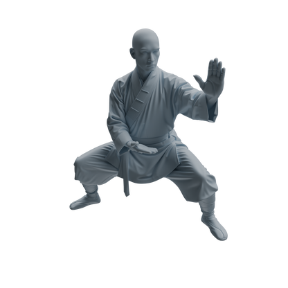 MRY-SFW LYTR1078 Martial Arts and Meditating Monk Character Modern Model 3 pcs