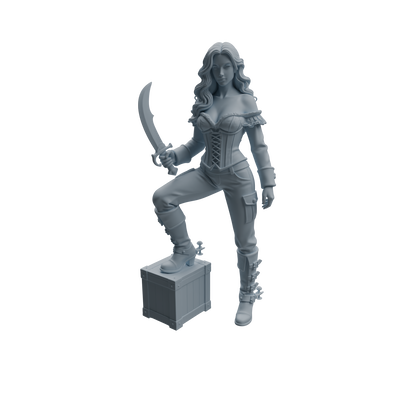 MRY-SFW LYTR1096 Female Pirate Character Modern Model 4 pcs