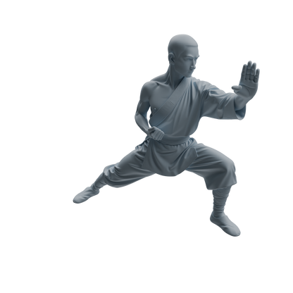 MRY-SFW LYTR1076 Kung Fu Martial Monk Character Modern Model 3 pcs