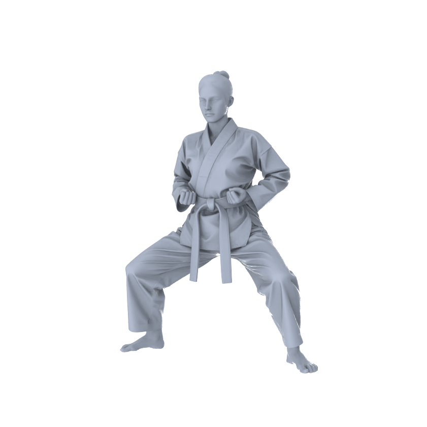 MRY-SFW LYTR560 Modern Dojo Karate Practitioners Pose Group of 5 Miniature Car Diorama Figures Scene Props Accessories Resin
