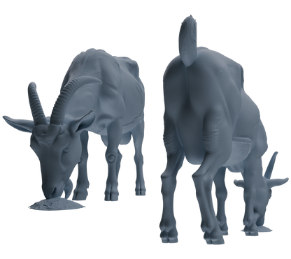 MRY-SFW LYTR846 Farm Goat Pose Model 4 pcs Miniature Car Diorama Figures Scene Props Accessories Resin