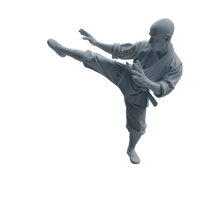 MRY-SFW LYTR1074 Kung Fu Kicking Monk Character Modern Model 4 pcs