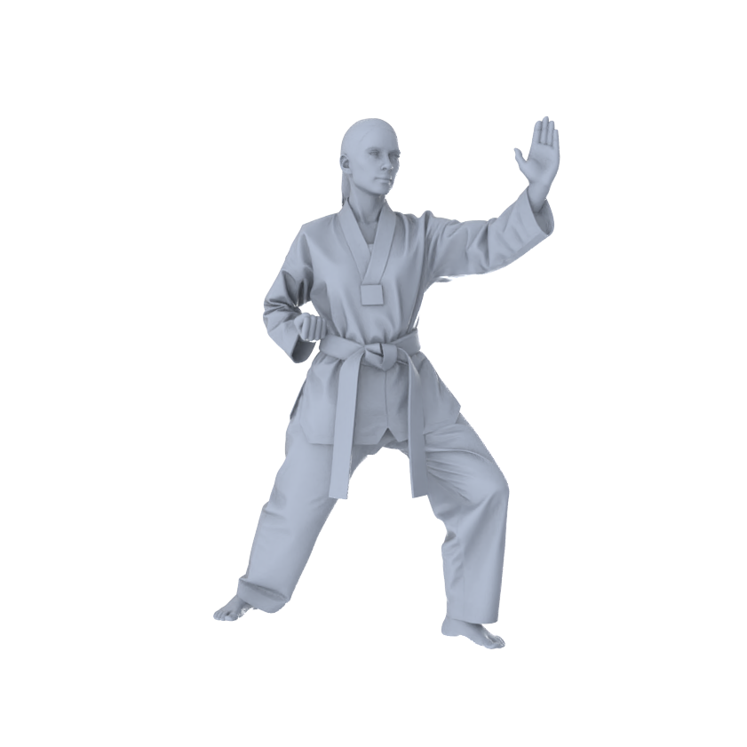 MRY-SFW LYTR560 Modern Dojo Karate Practitioners Pose Group of 5 Miniature Car Diorama Figures Scene Props Accessories Resin