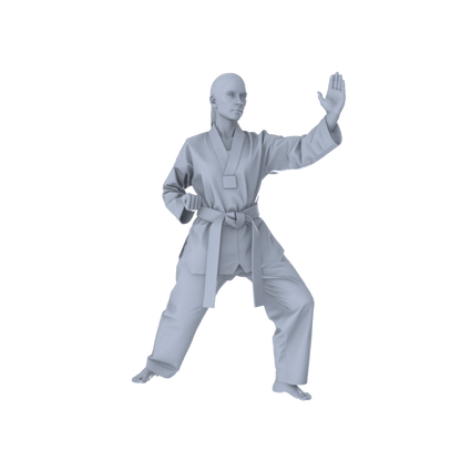 MRY-SFW LYTR560 Modern Dojo Karate Practitioners Pose Group of 5 Miniature Car Diorama Figures Scene Props Accessories Resin