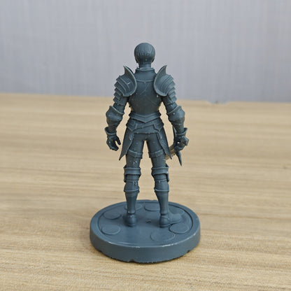 MRY-SFW LYTR1351 Swordsman Brave Warrior Fantasy Warrior 3D Printed Figure Model