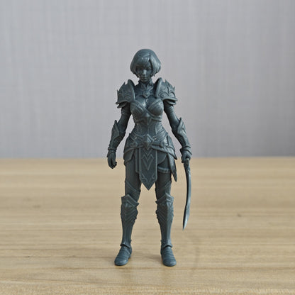 MRY-SFW LYTR1356 Fantasy Style Mechanical Female Warrior 3D Printed Figure Model