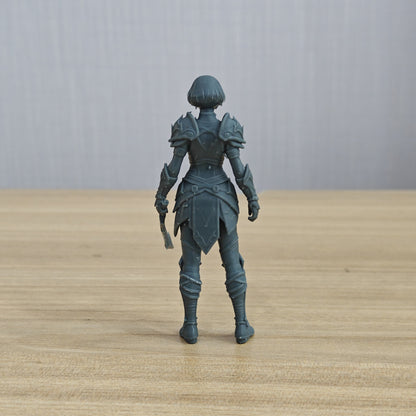MRY-SFW LYTR1356 Fantasy Style Mechanical Female Warrior 3D Printed Figure Model