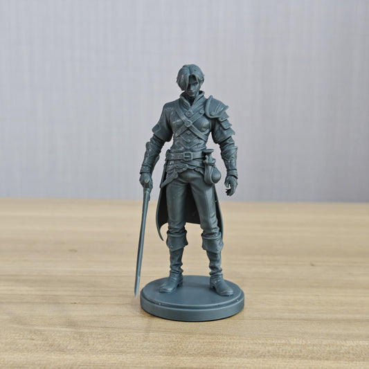 MRY-SFW LYTR1364 Western Fantasy Gentleman Swordsman 3D Printed Figure Model