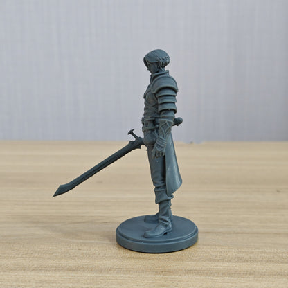 MRY-SFW LYTR1364 Western Fantasy Gentleman Swordsman 3D Printed Figure Model