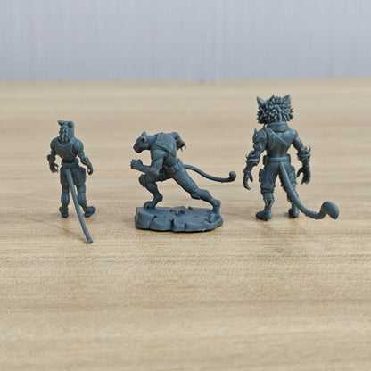 MRY-SFW LYGR1078 Mutated Orc Series Tiger Folk Unit – LCD 3D printed resin model kit, image 2