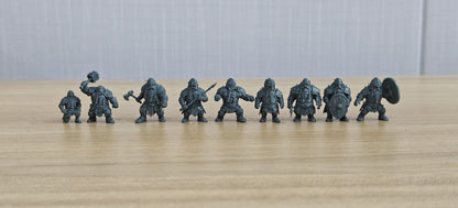 Shield Guards & Heavy Warriors MRY-SFW LYGR2180