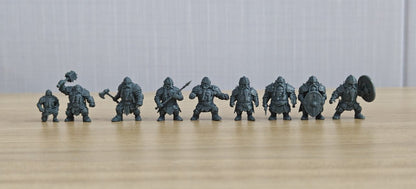 Shield Guards & Heavy Warriors MRY-SFW LYGR2180