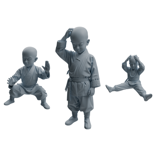 MRY-SFW LYTR1072 Little Monk with Kung Fu Actions Character Modern Model 3 pcs