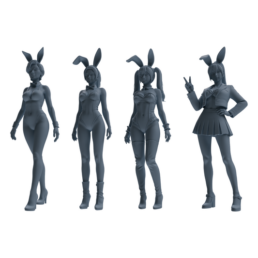 MRY-SFW LYTR889 Multi-style Bunny Girl Modern Model 4 pcs