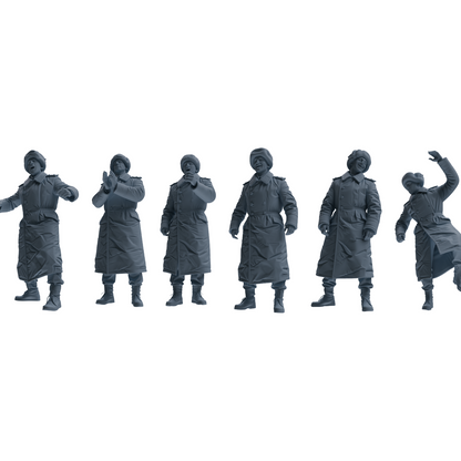 MRY-SFW LYGR641 WWII Soviet Six-Person Entertainment