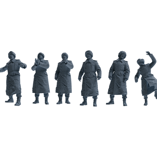 MRY-SFW LYGR641 WWII Soviet Six-Person Entertainment