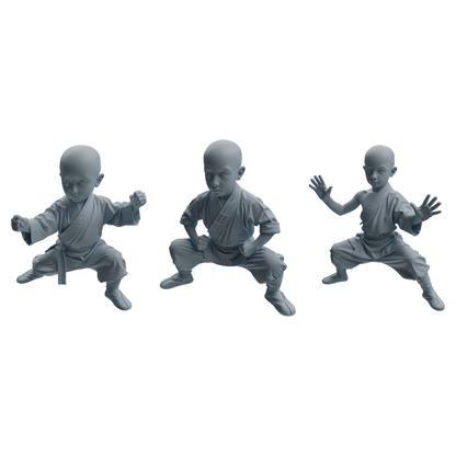 MRY-SFW LYTR1079 Kung Fu Pose Little Monk Character Modern Model 3 pcs