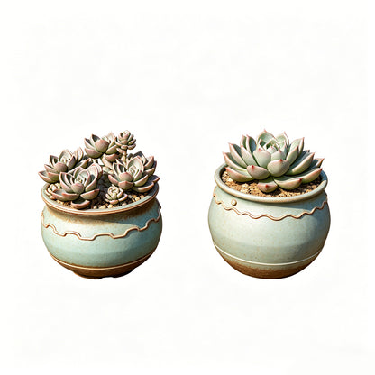 MRY-SFW LYTS614 3D Printed Unpainted White Resin, Succulent Planter 2-Piece Set, Miniature Garden Diorama Decor