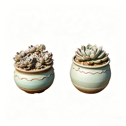 MRY-SFW LYTS614 3D Printed Unpainted White Resin, Succulent Planter 2-Piece Set, Miniature Garden Diorama Decor
