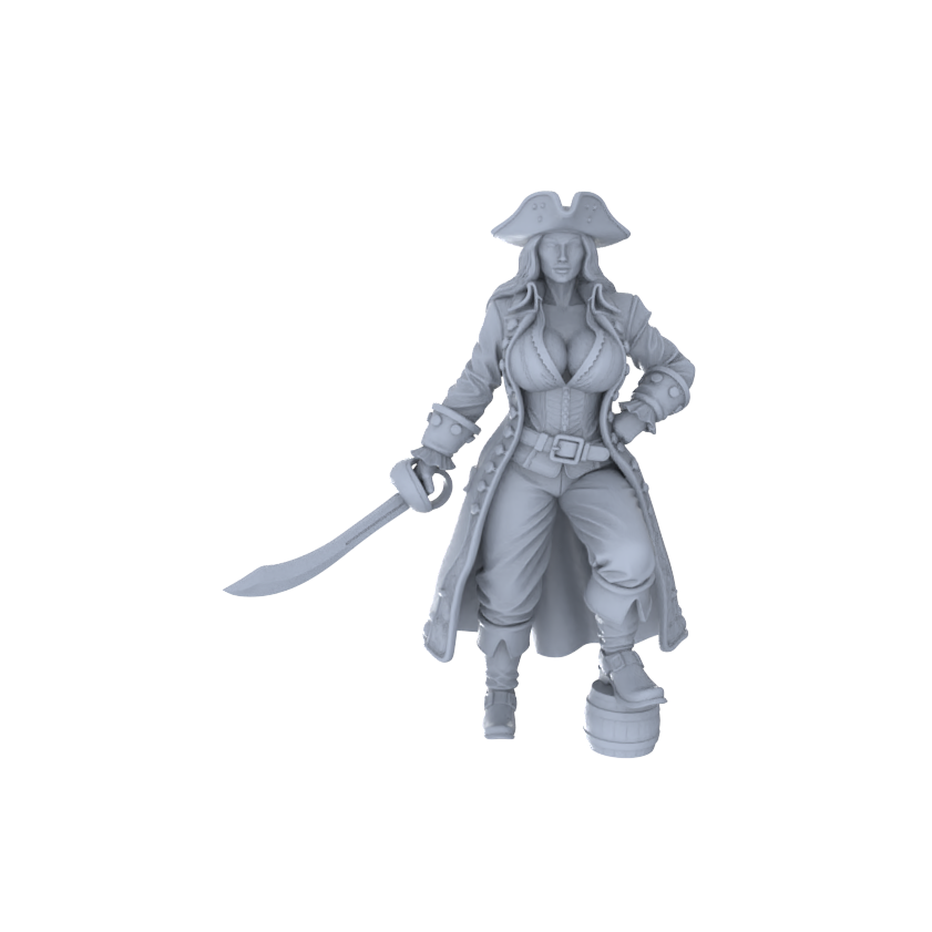 MRY-SFW LYGR139 Knight And Pirate Resin White Model Wargame Miniature Soldier Scene Character Hand Figure Hand Painted