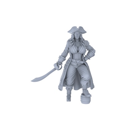 MRY-SFW LYGR139 Knight And Pirate Resin White Model Wargame Miniature Soldier Scene Character Hand Figure Hand Painted